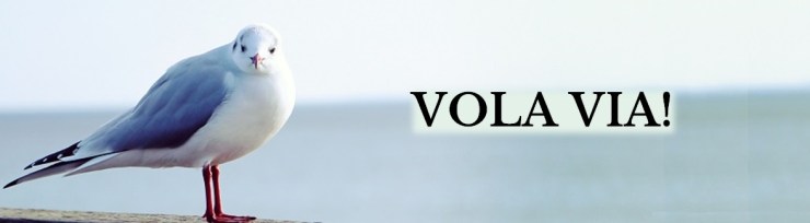 vola-via-banner